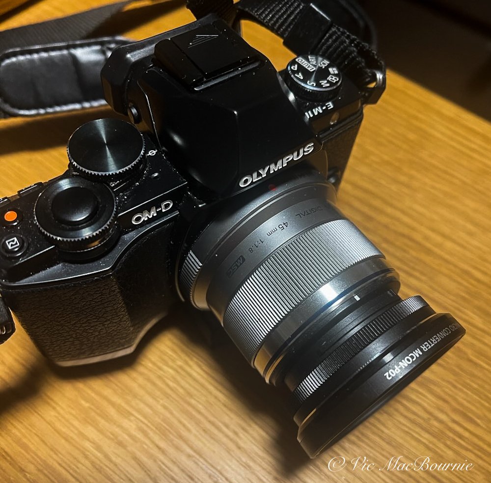 Focus on Olympus 45mm F1.8 and P02 close-up accessory Focus on Olympus 45mm F1.8 and P02 close-up accessory